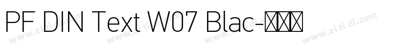 PF DIN Text W07 Blac字体转换